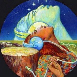 Meet your Posher, Pamela